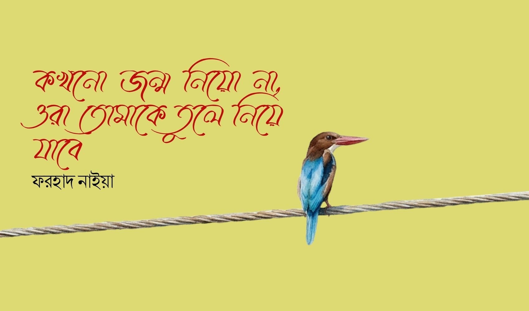 কখনো জন্ম নিয়ো না, ওরা তোমাকে তুলে নিয়ে যাবে